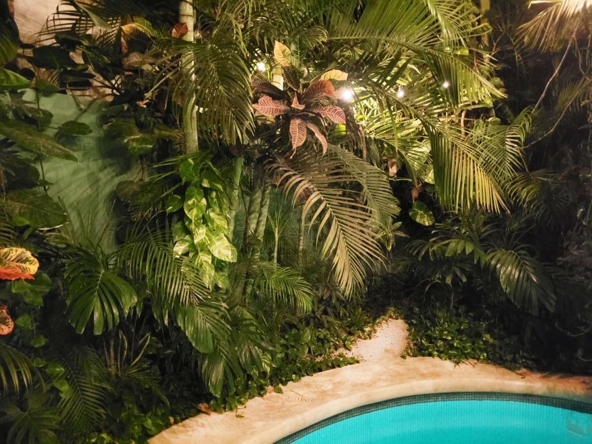 The Secret Garden Tulum 아파트 외부 사진