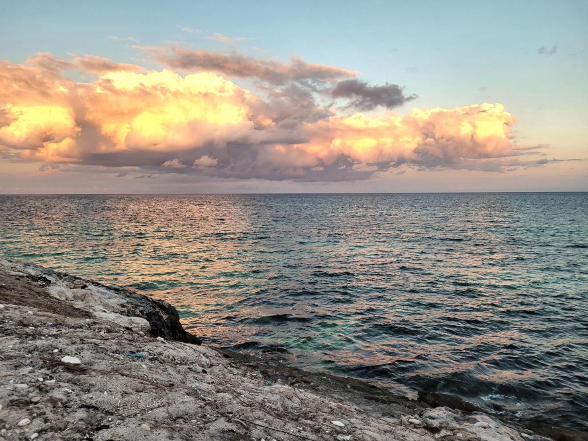 The Secret Garden Tulum 아파트 외부 사진