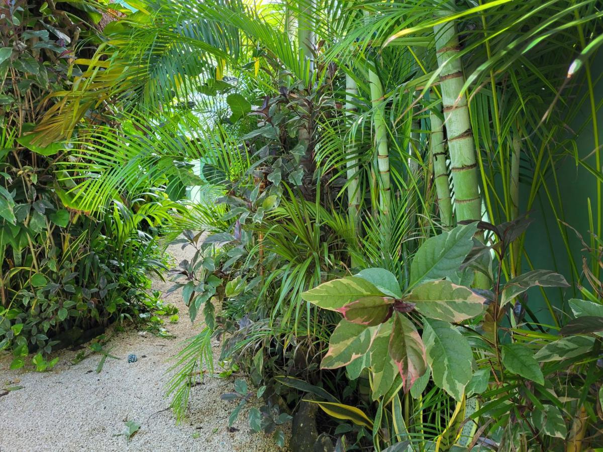 The Secret Garden Tulum 아파트 외부 사진