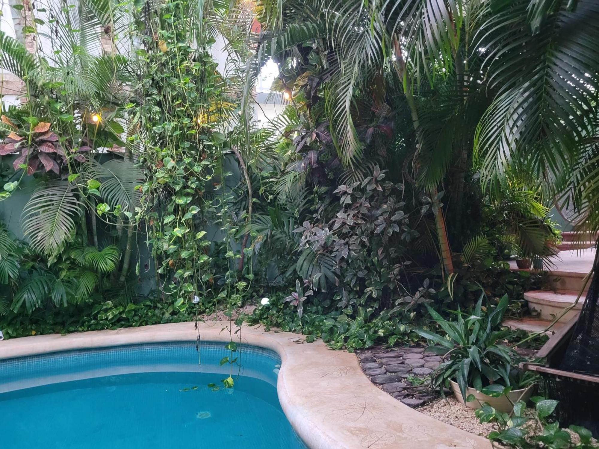 The Secret Garden Tulum 아파트 외부 사진