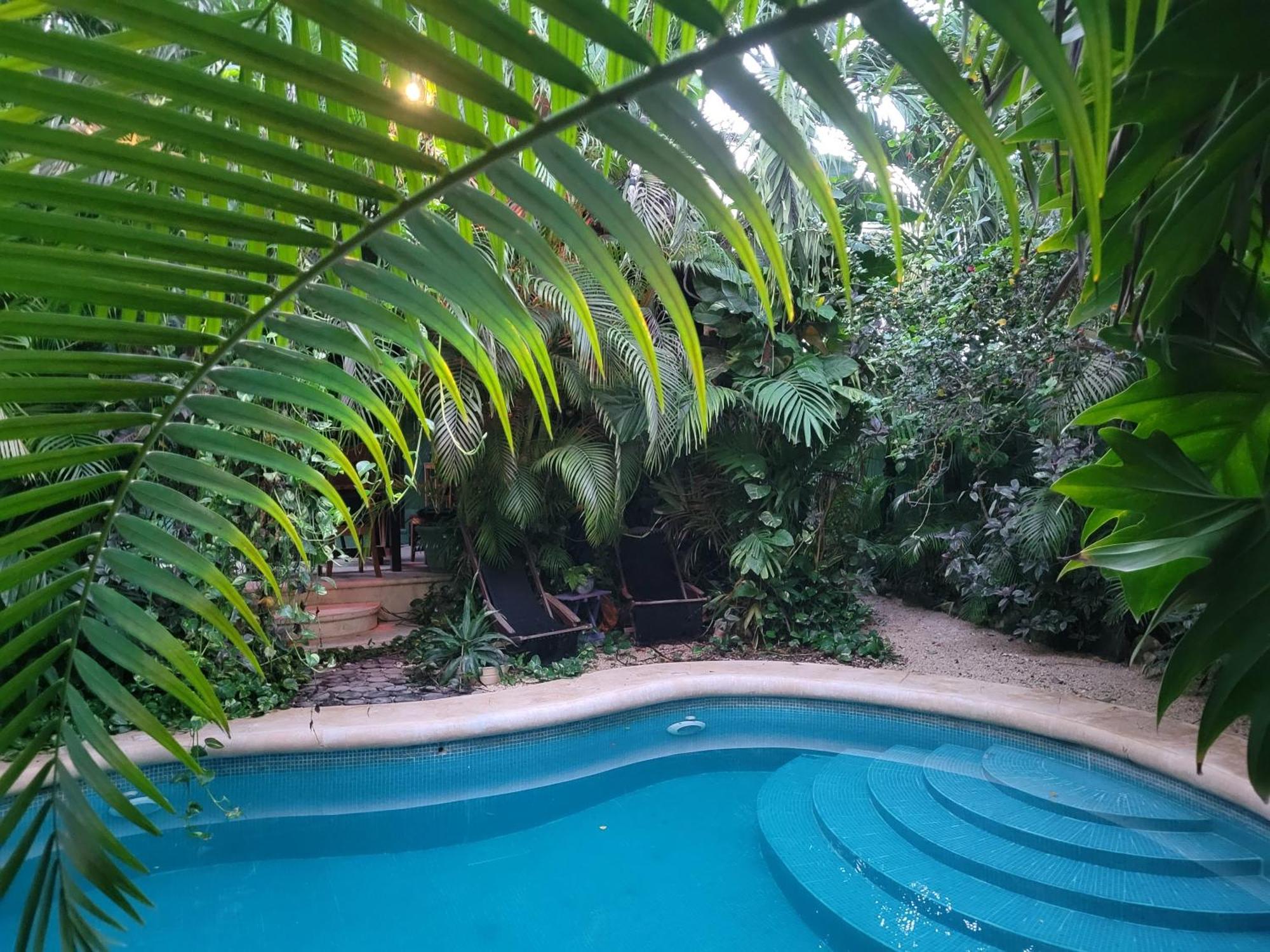 The Secret Garden Tulum 아파트 외부 사진