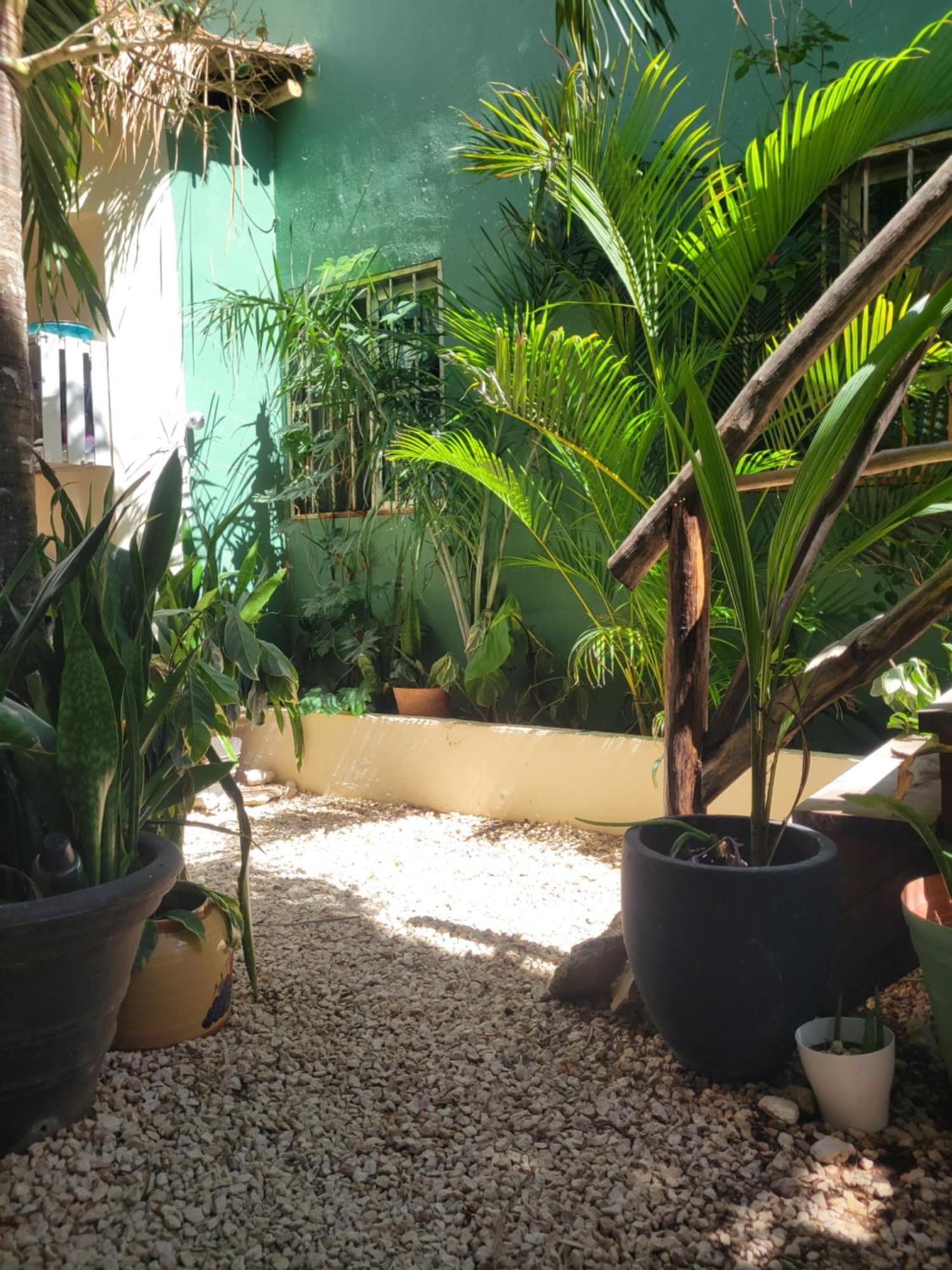 The Secret Garden Tulum 아파트 외부 사진