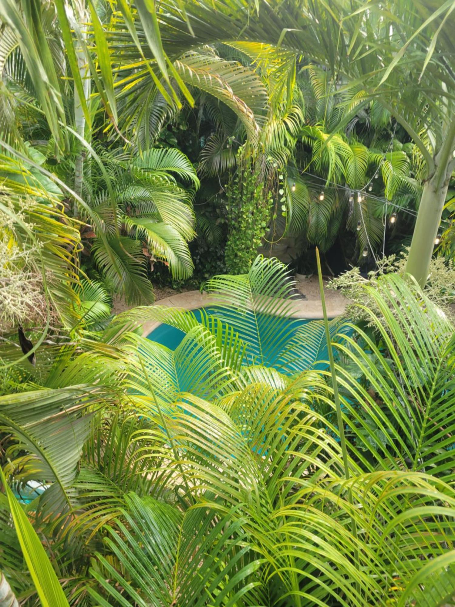 The Secret Garden Tulum 아파트 외부 사진