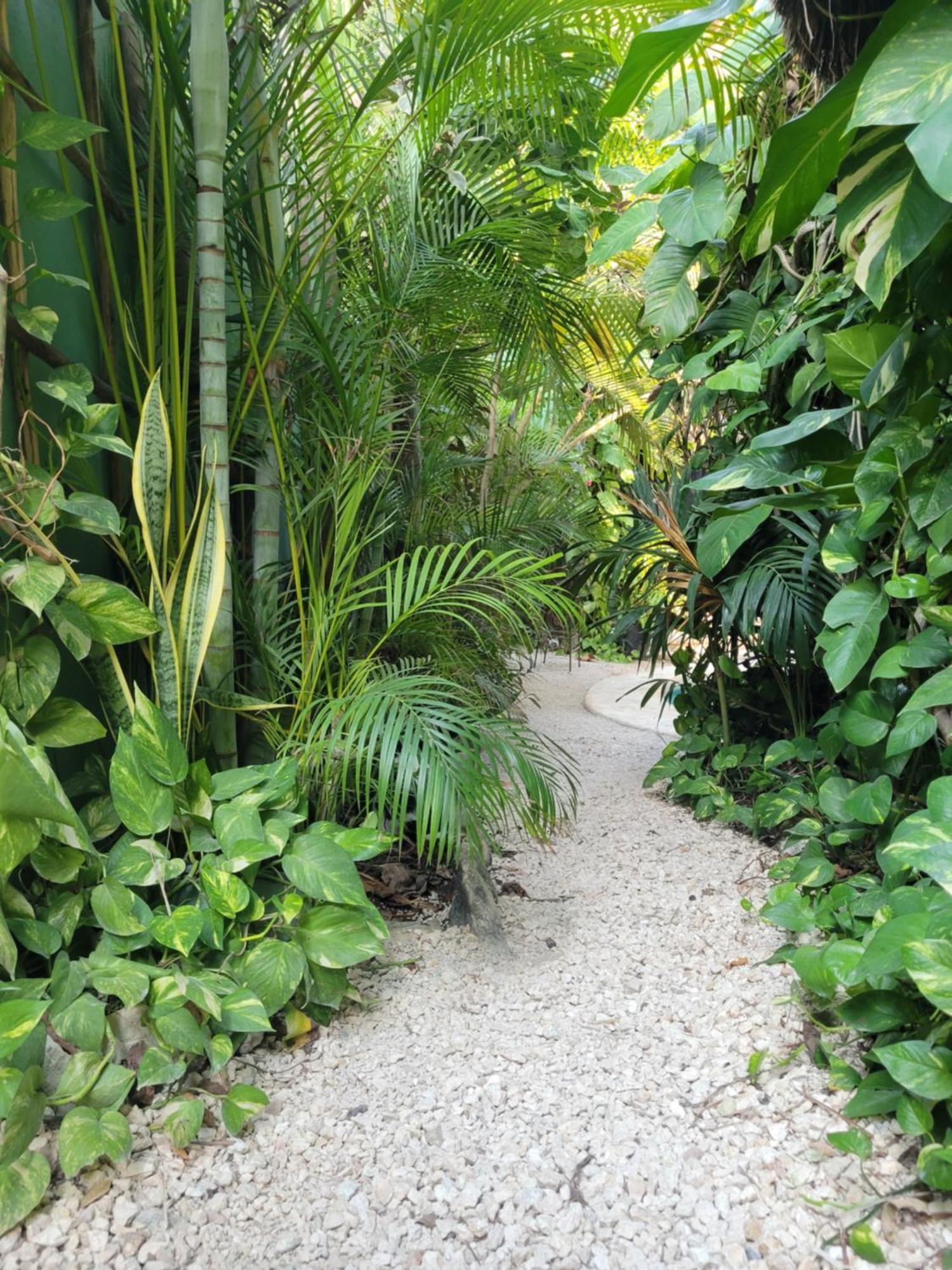 The Secret Garden Tulum 아파트 외부 사진
