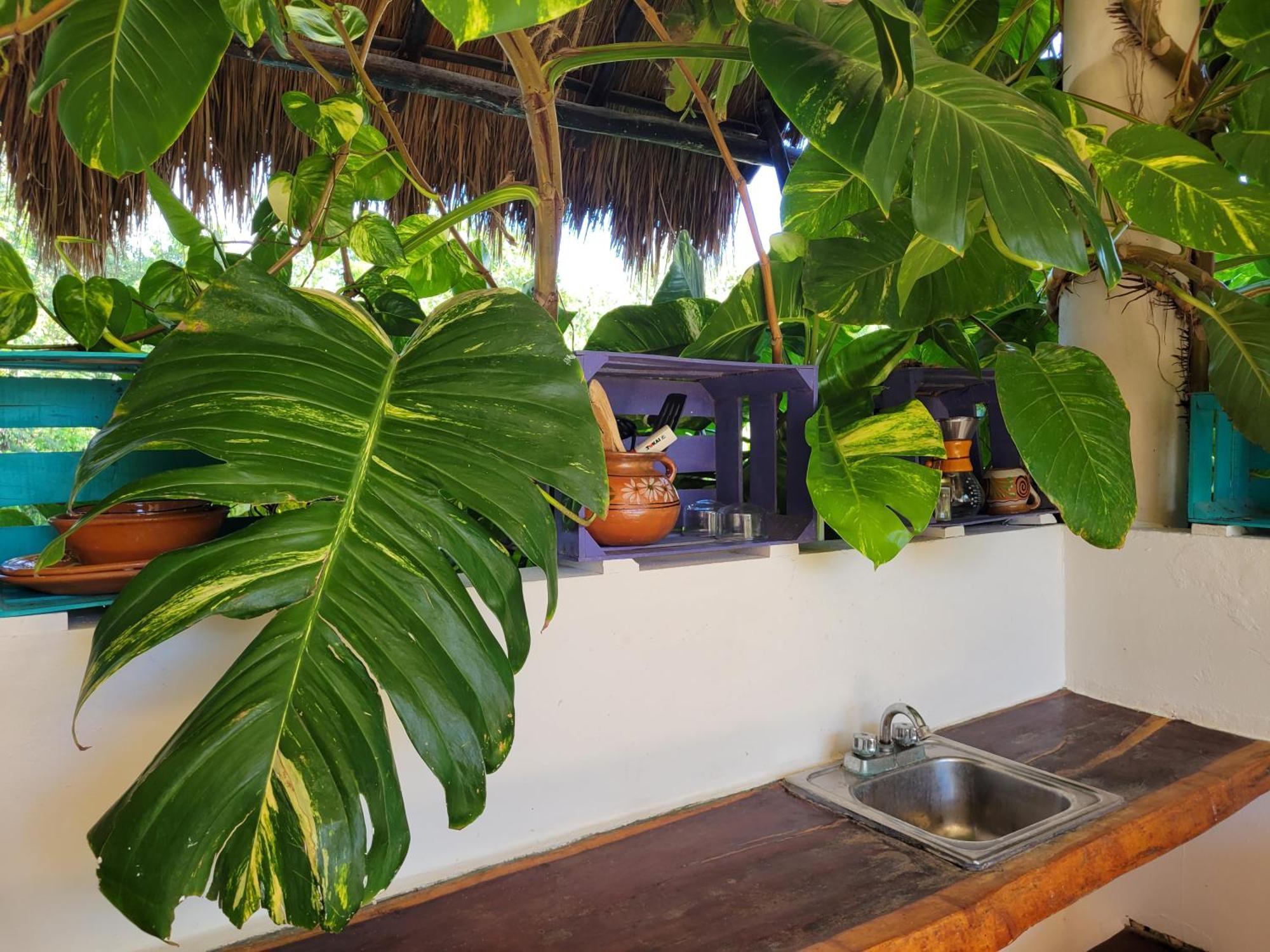 The Secret Garden Tulum 아파트 외부 사진