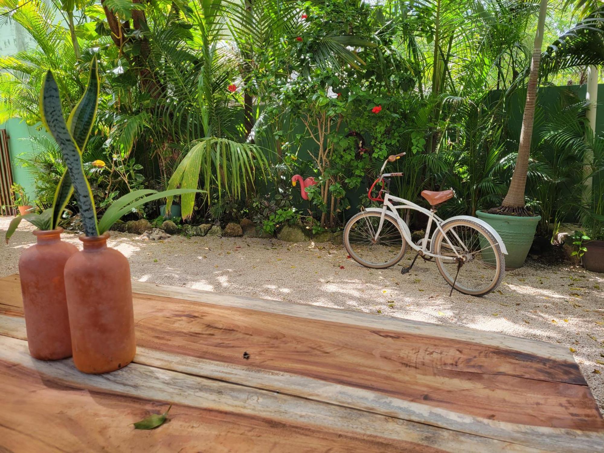 The Secret Garden Tulum 아파트 외부 사진