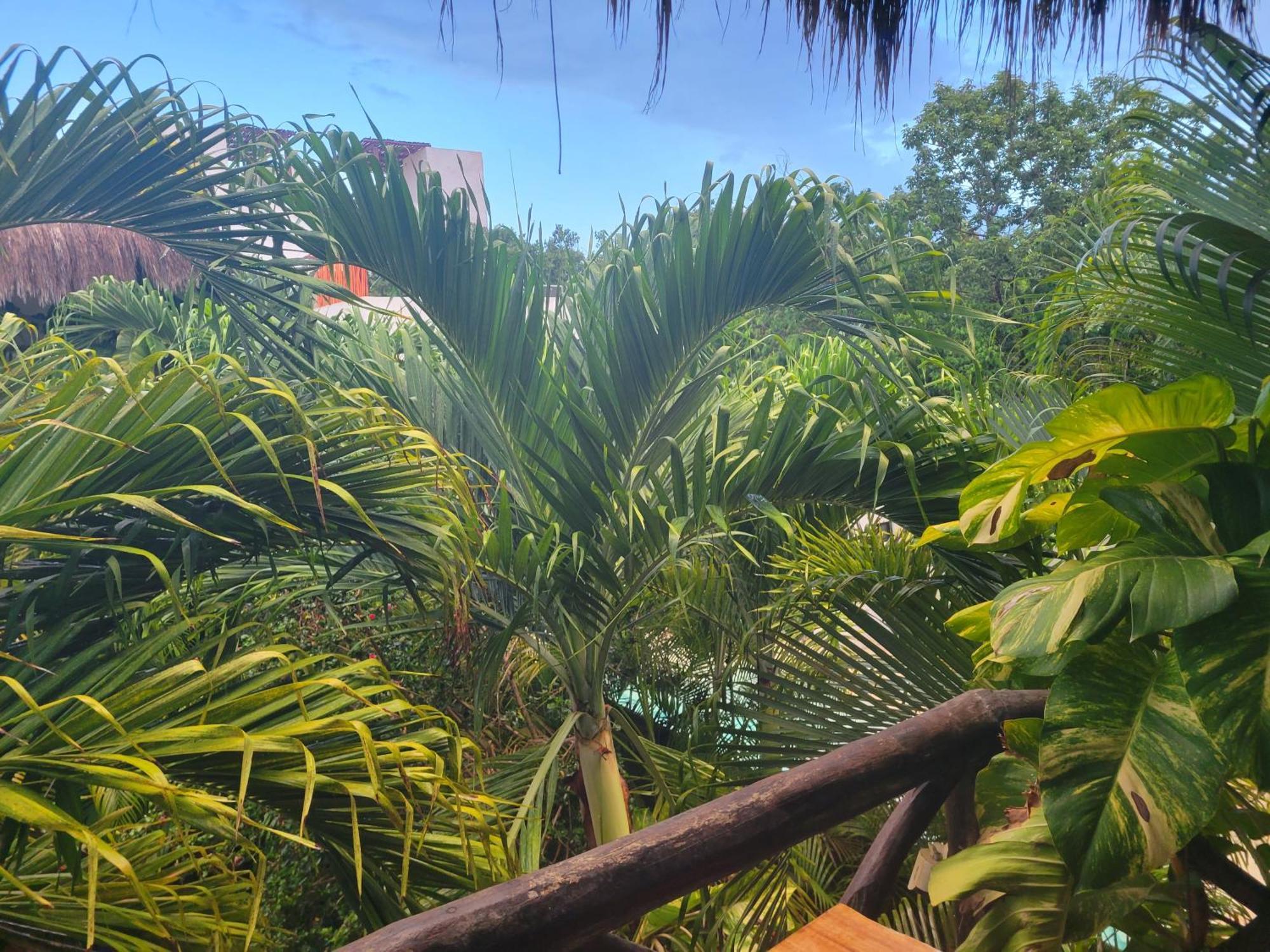 The Secret Garden Tulum 아파트 외부 사진
